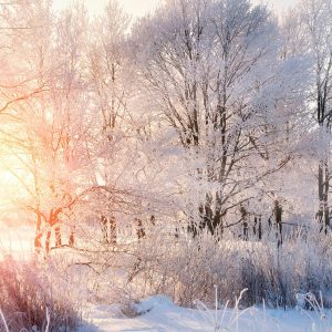 Winter Classes Begin