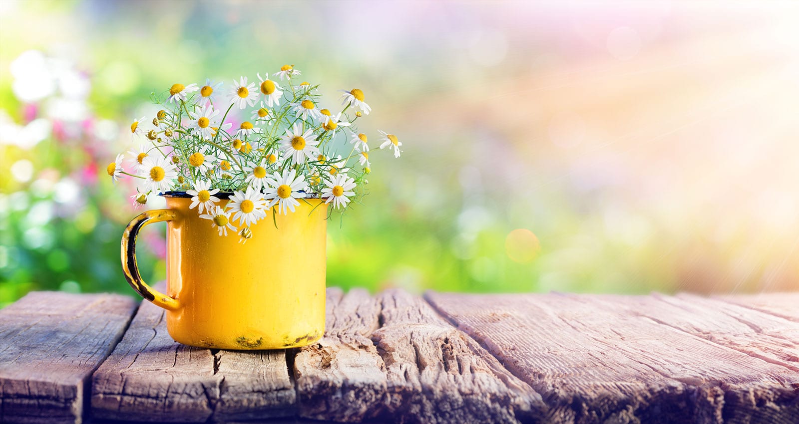 Winter Semester Ends