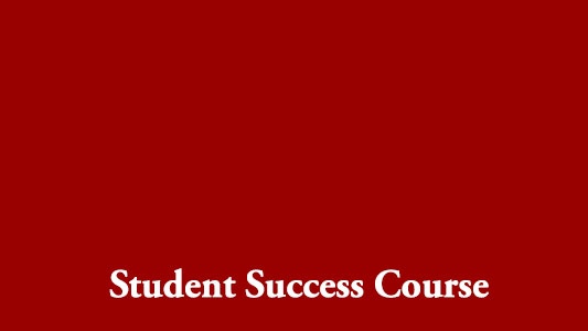 Student Success Course