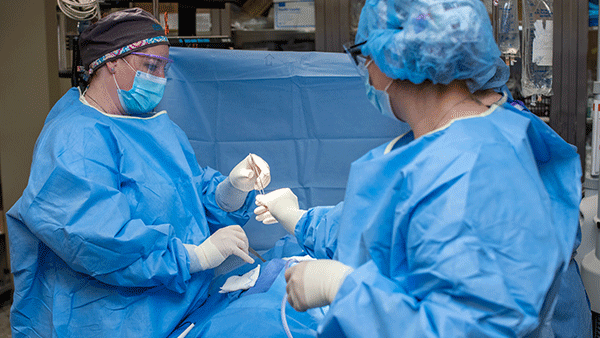 Surgical Technology AAS