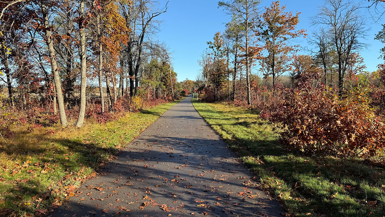 Walk the trail behind campus