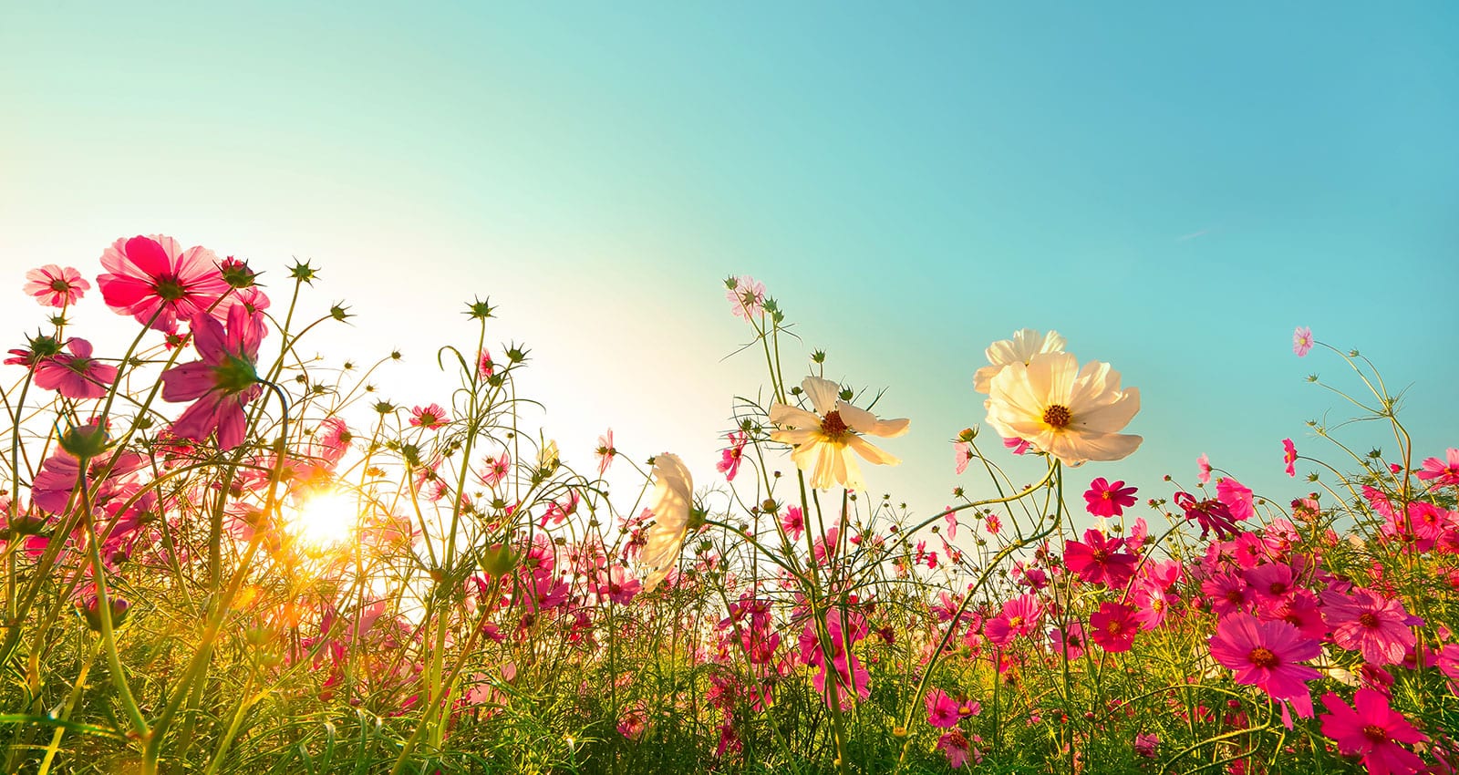 Summer Classes Begin