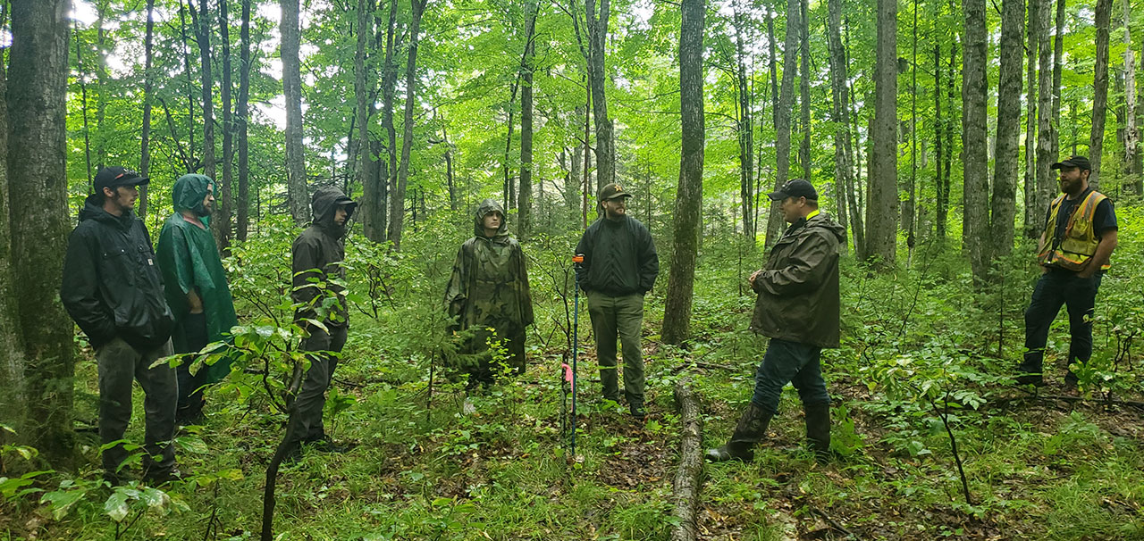 Forest Technology