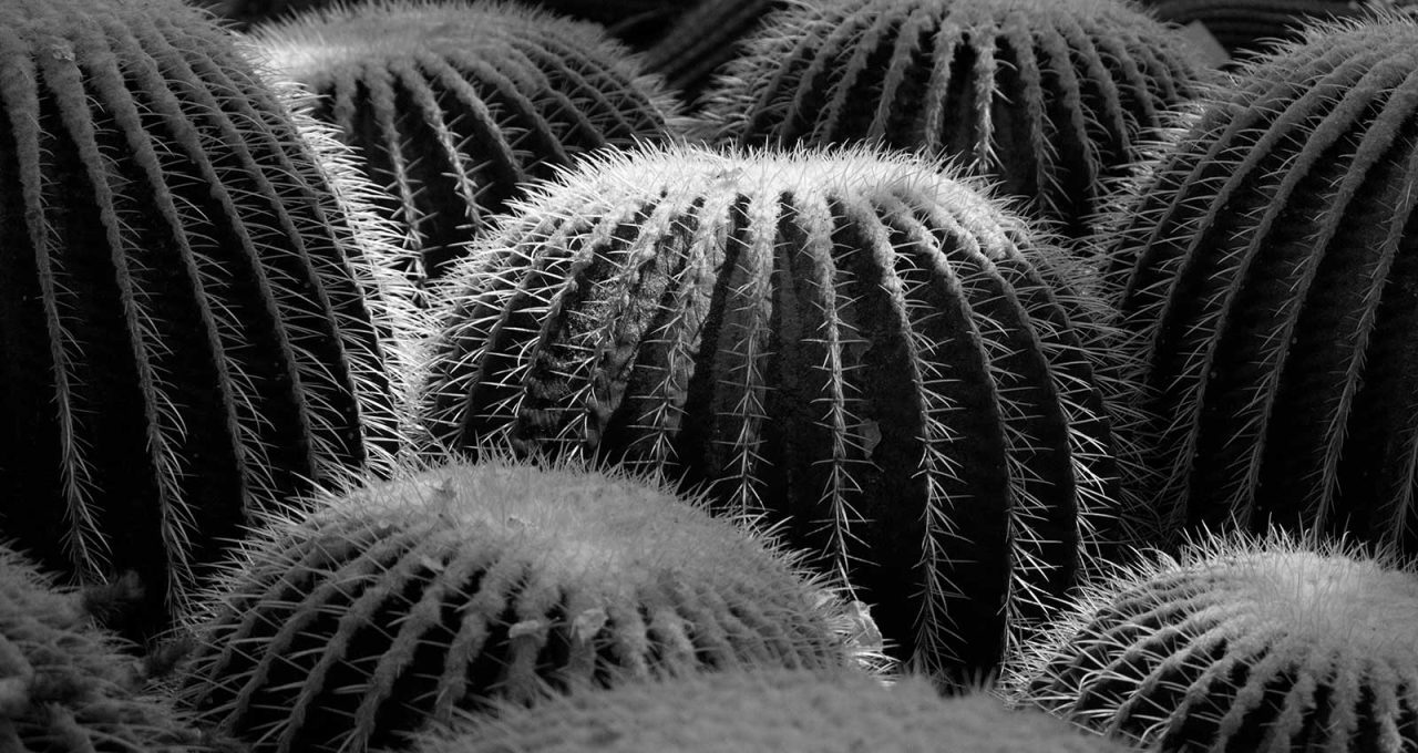 Kirtland Art Students Win State Competition