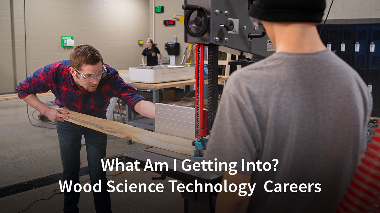 What Am I Getting Into? Wood Science Technology  Careers video cover